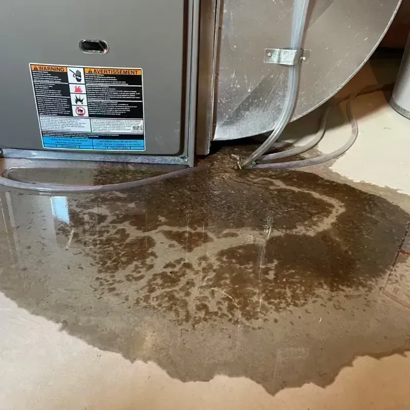 Appliance Leak Cleanup in Chariton County, MO